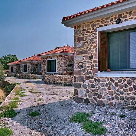 Ktima Kiourelioti Villa Skala Sykamineas Ngoại thất bức ảnh