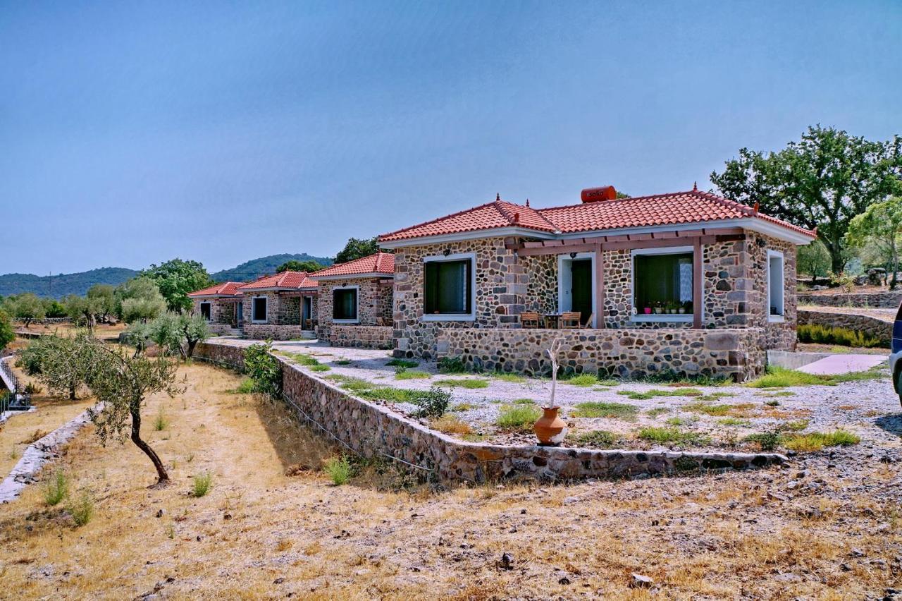 Ktima Kiourelioti Villa Skala Sykamineas Ngoại thất bức ảnh